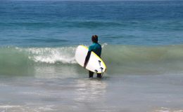 Surfing